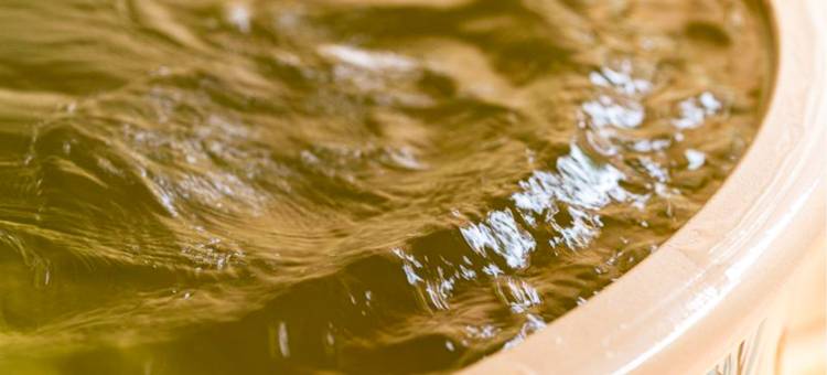 寿乐(Juraku)图片