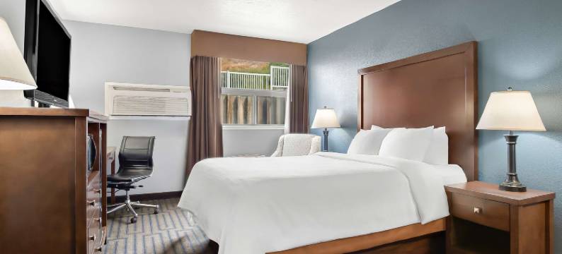 波卡特洛贝斯特韦斯特酒店(Best Western Pocatello Inn)图片