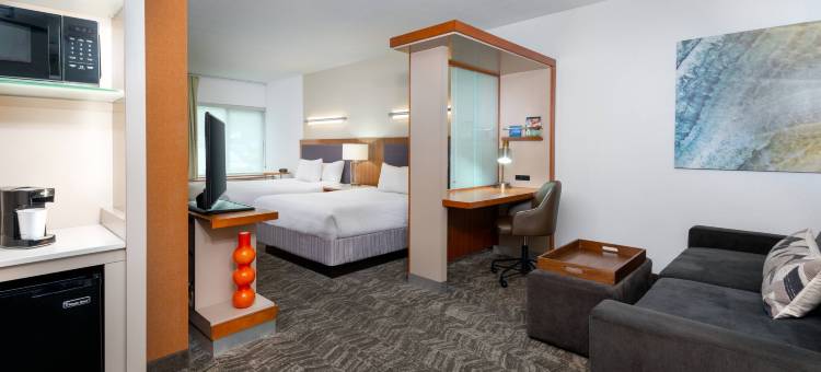 塔拉哈西中央万豪SpringHill酒店(SpringHill Suites Tallahassee Central)图片