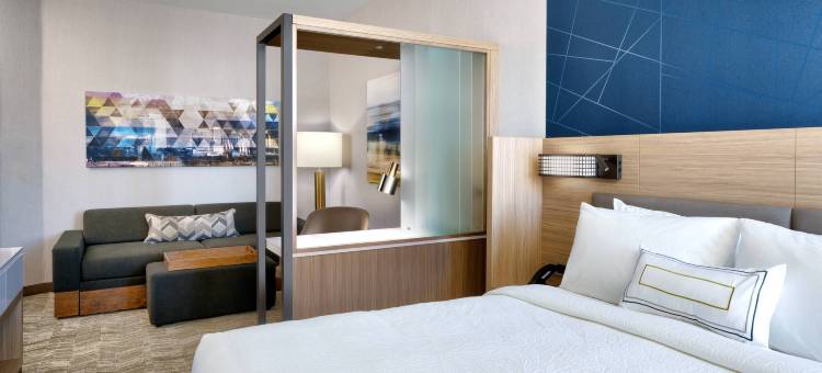 盐湖城西谷万豪SpringHill Suites酒店(SpringHill Suites Salt Lake City West Valley)图片