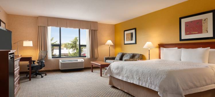 希尔顿欢朋酒店及套房-兰里素里(Hampton Inn & Suites by Hilton Langley-Surrey)图片