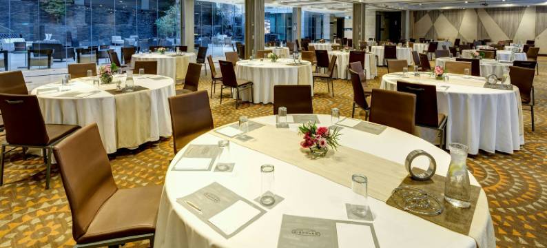 圣地亚哥万丽酒店(Renaissance Santiago Hotel)图片