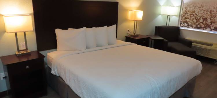 柴尔德雷斯西贝斯特韦斯特酒店(Best Western Childress West Hotel)图片