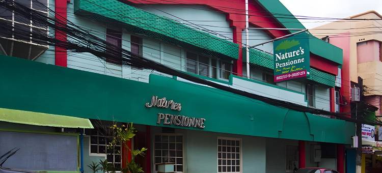 自然高级旅馆(Nature's Pensionne House)图片