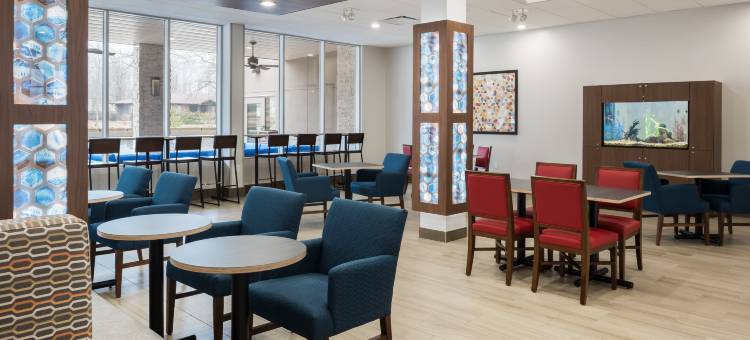 洲际酒店集团西平原西南智选假日酒店及套房(Holiday Inn Express & Suites West Plains Southwest)图片