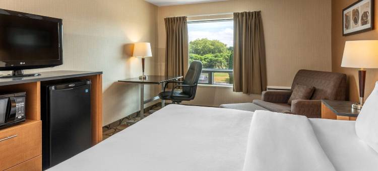 舒适酒店(Comfort Inn)图片
