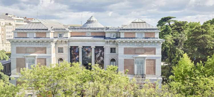 马德里丽思文华东方酒店(Mandarin Oriental Ritz, Madrid)图片