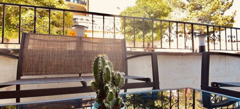 帕沙汉酒店(Pashahan Hotel)图片