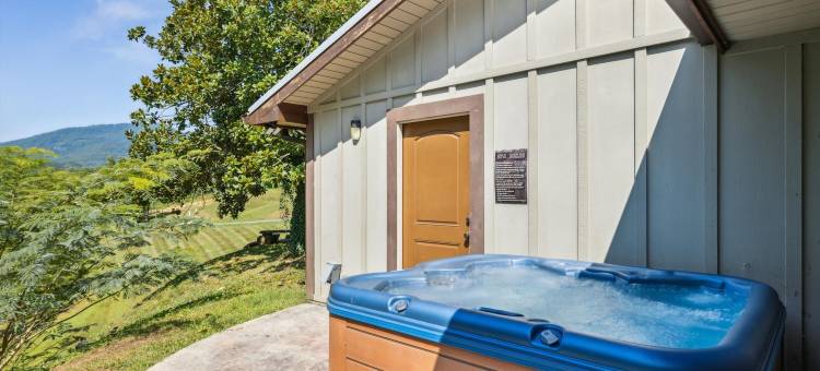 私人15英亩带池塘热水浴缸游戏室(Sharp Hollow by Beyond Expectations W Hot Tub)图片