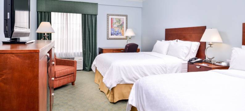 Holiday Inn Express 坦帕北 - 电信公园(Holiday Inn Express TAMPA N I-75 - UNIVERSITY AREA by IHG)图片