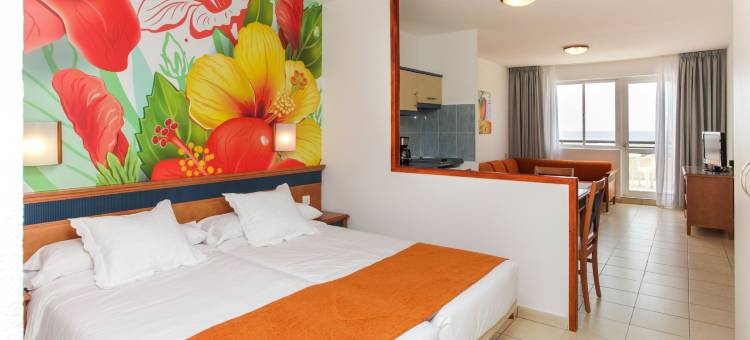 棕榈园出租公寓 - LIVVO 酒店(Apartamentos Palm Garden by LIVVO)图片