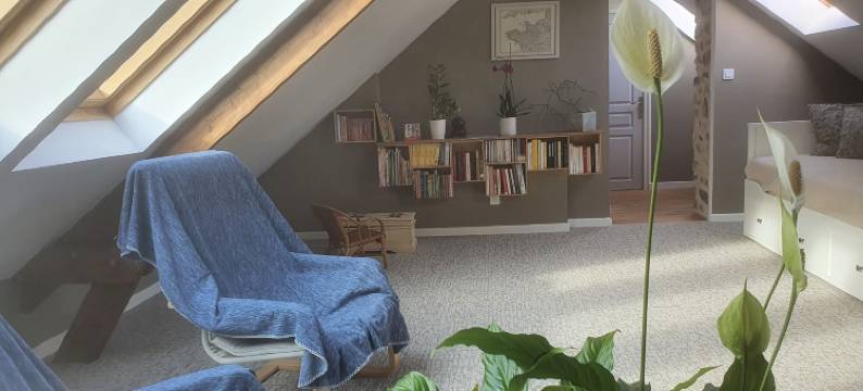 梦想种子旅馆(Graine de Reves)图片