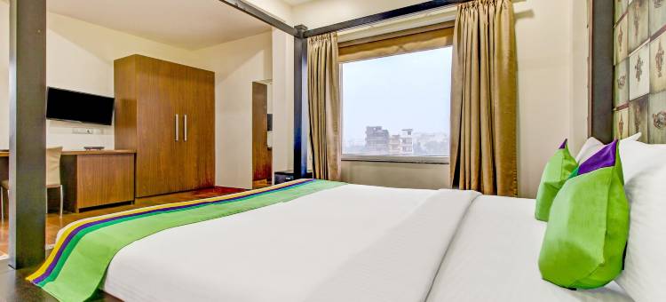 Treebo M2M住宅区46(Treebo M2M Residency Sector 46)图片