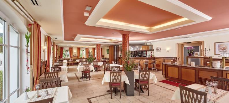 巴耶瓦德住宅阿肯森特酒店(AKZENT Hotel Bayerwald-Residenz)图片