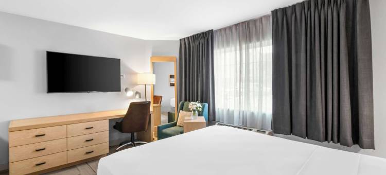 奥斯汀南索尼斯塔简单套房酒店(Sonesta Simply Suites Austin South)图片
