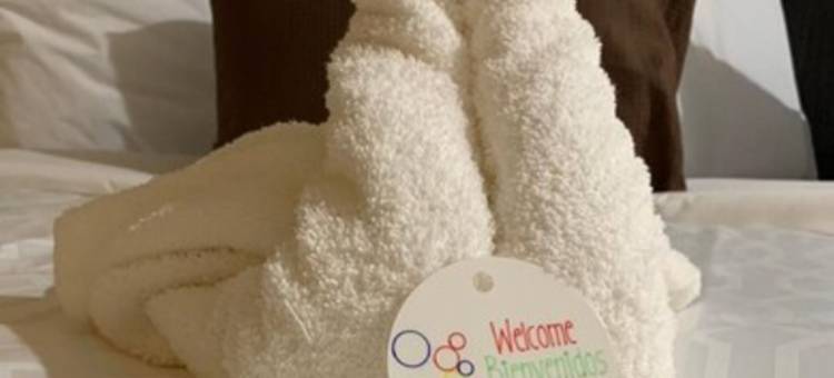 爱丁堡家庭旅馆套房酒店(HomeStay Inn & Suites Edinburg)图片