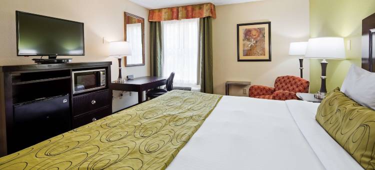 地标酒店达拉斯 - 艾迪生(Landmark Hotel Dallas - Addison)图片