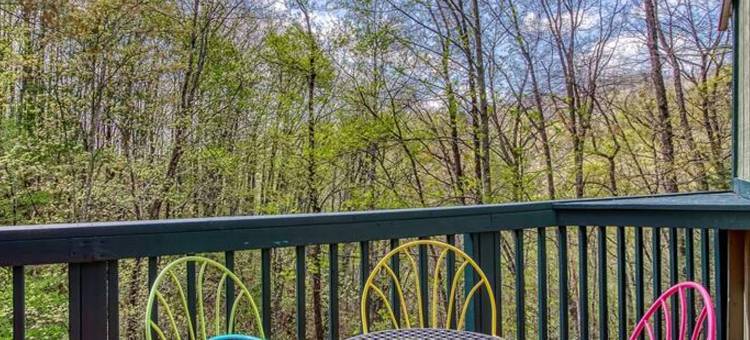 在烟雾腾腾的山中找到和平宁静与放松(Woods Child Cabin by Beyond Expectation W Hot Tub)图片