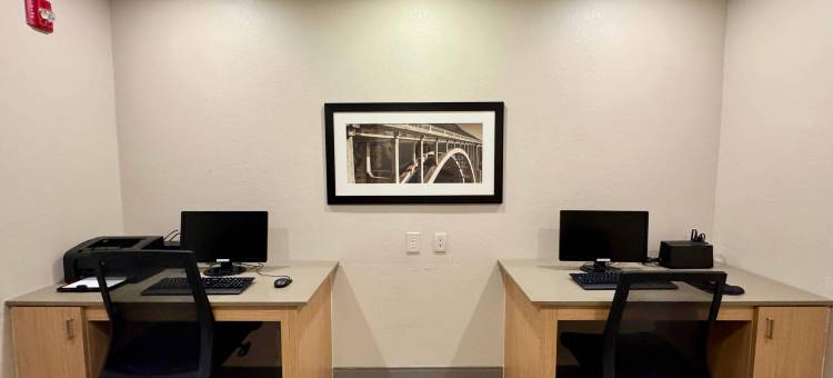 夏洛特港丽怡酒店(Country Inn & Suites by Radisson, Port Charlotte, FL)图片