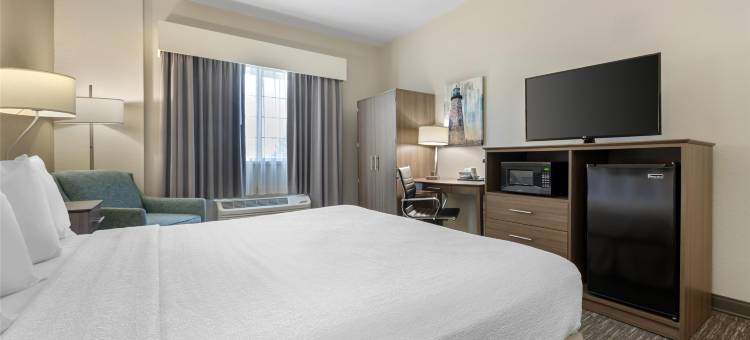 布罗克波特贝斯特韦斯特套房酒店(Best Western Brockport Inn  Suites)图片