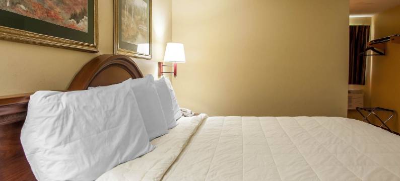 伊克诺旅馆牛顿(Econo Lodge)图片