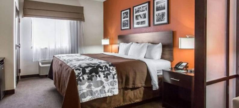 拉伯克舒眠套房酒店(Sleep Inn & Suites)图片