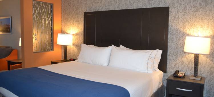 智选假日套房酒店诺克斯维尔(Holiday Inn Express & Suites Knoxville West - Papermill DR)图片