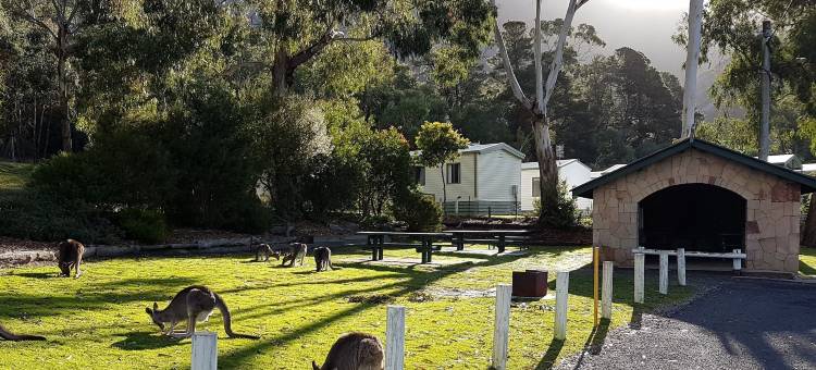 微风假日公园 - 霍尔斯山谷营地(Breeze Holiday Parks - Halls Gap)图片