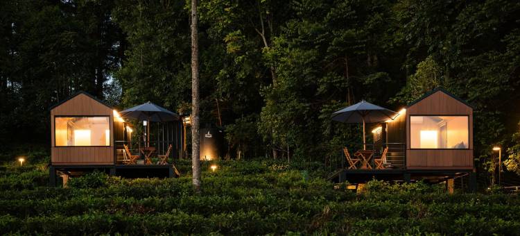 Bobocabin 迪恩山口, 巴塘(Bobocabin Dieng Pass, Batang)图片