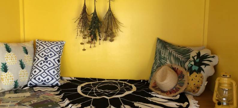 松树酒店(Pine Tree)图片