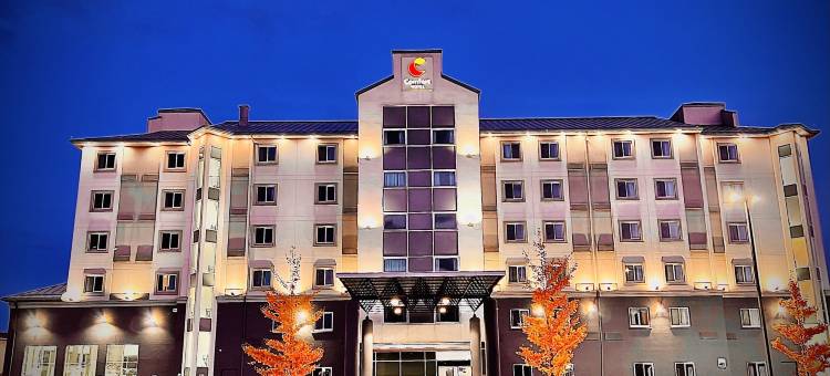 舒适酒店(Comfort Hotel)图片