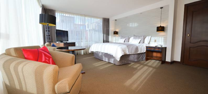 总统酒店(Hotel Presidente)图片