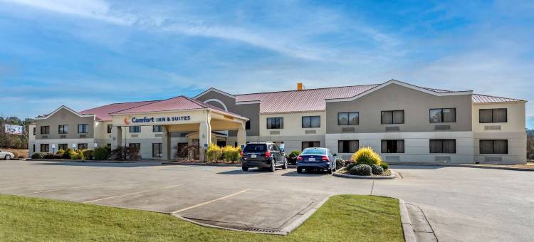 利兹I-20舒适套房酒店(Comfort Inn & Suites Leeds I-20)图片