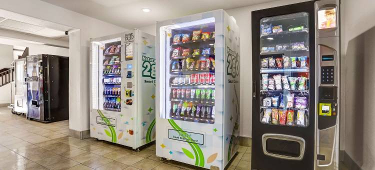 阿帕奇章克申6号汽车旅馆(Motel 6 Apache Junction, AZ)图片