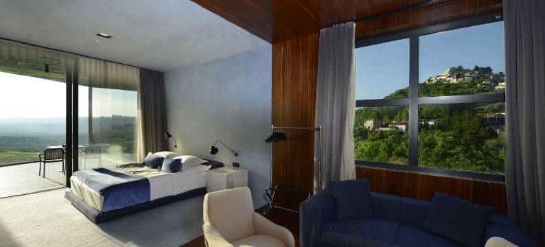 罗萨尼奇葡萄酒设计酒店(Winery & Design hotel ROXANICH)图片