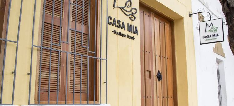 米亚之家精品酒店(Hotel Boutique Casa Mia)图片