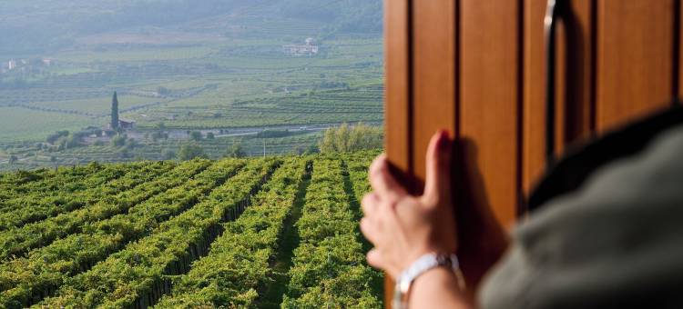 拉比格尼乐 - 阿洛基欧农庄酒店(Le Bignele - Alloggio Agrituristico)图片