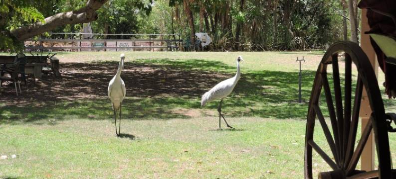 领地庄园汽车旅馆暨房车公园(Territory Manor Motel & Caravan Park)图片