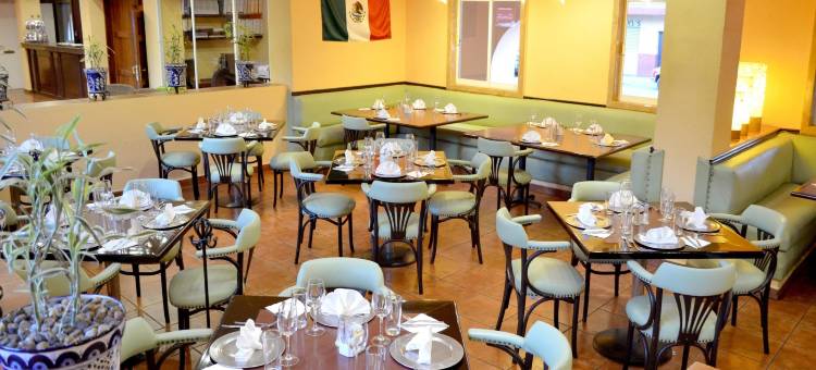 奥里萨巴使命酒店(Hotel Misión Orizaba)图片