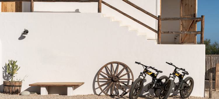 NEST Baja，设计酒店成员(Nest Baja, a Member of Design Hotels)图片