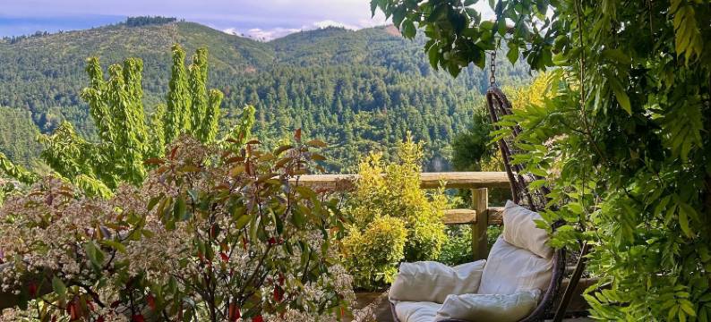 普里塔尼奥酒店(Pritanio)图片