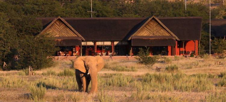霍巴特雷旅馆(Hobatere Lodge)图片