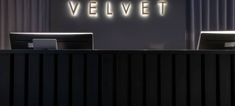 威尔维特酒店(Velvet Hotel)图片