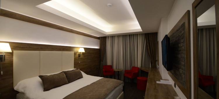 萨里卡米斯原生态酒店(Sarikamis Habitat Hotel)图片