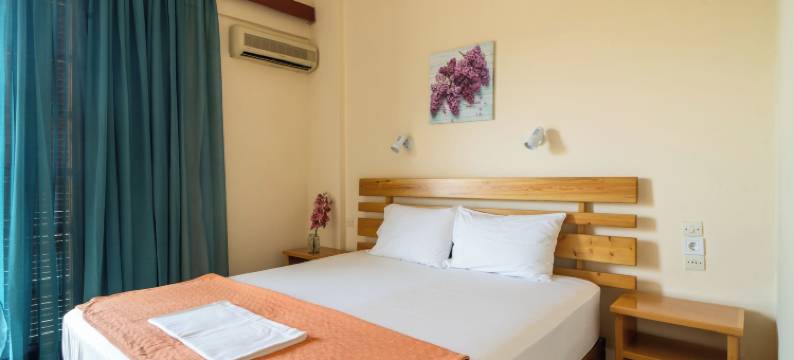 力神酒店(Hotel Hercules)图片