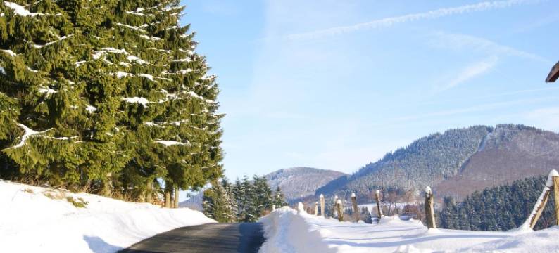 尼藤博尔格早餐加住宿酒店(Bed and Breakfast am Knittenberg)图片