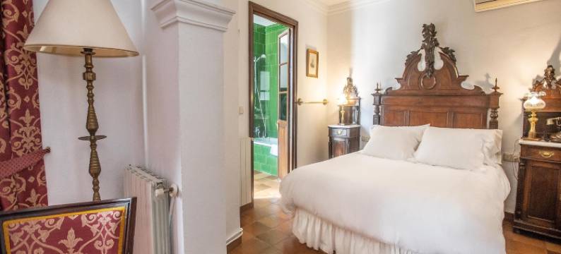 苏荷精品圣盖博宫酒店(Hotel Soho Boutique Palacio San Gabriel)图片