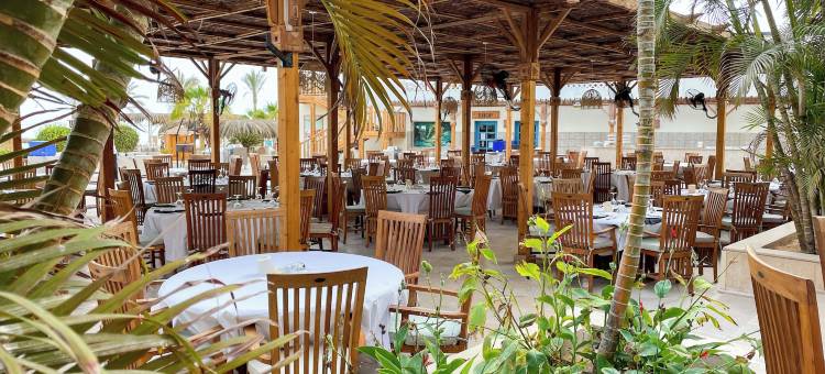 索马湾破浪者潜水与冲浪酒店(The Breakers Diving and Surfing Lodge Soma Bay)图片