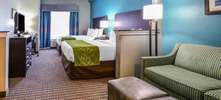 舒适套房酒店-坦帕布兰登(Comfort Suites Tampa - Brandon)图片