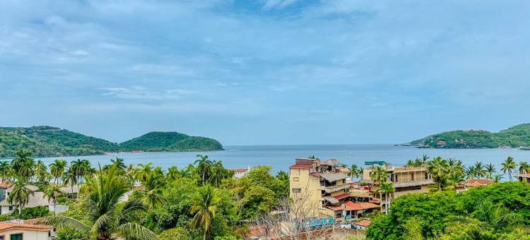 恩苏尼奥德富加(Ensueño de fuga)图片